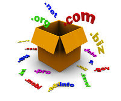 Domain Registration